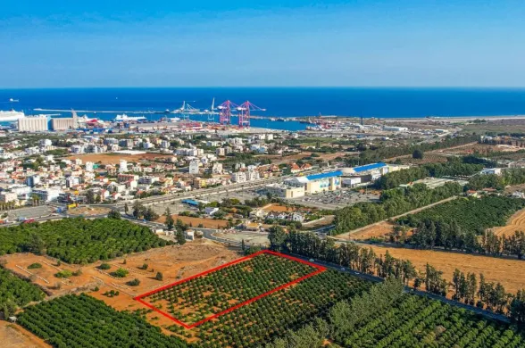 Industrial plot in Kato Polemidia, Limassol - 16581