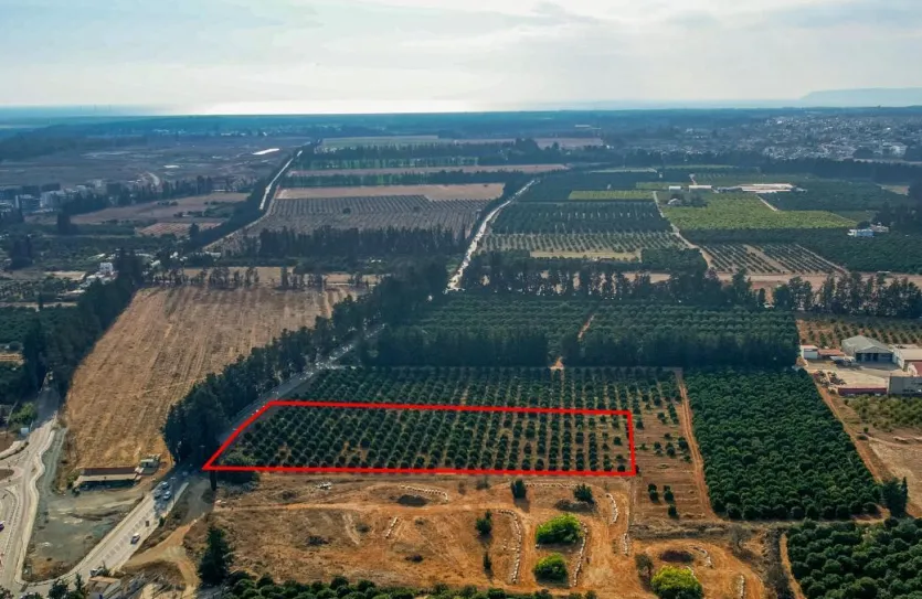 Industrial plot - 16581, photo 3