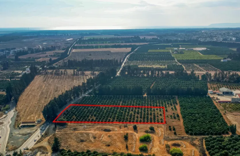 Industrial plot - 16581, photo 3