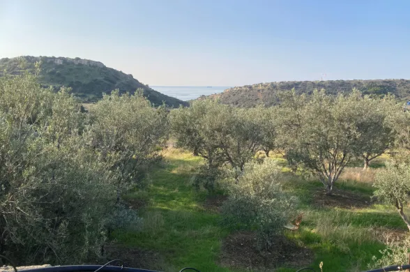 Residential plot in Agios Tychonas, Limassol