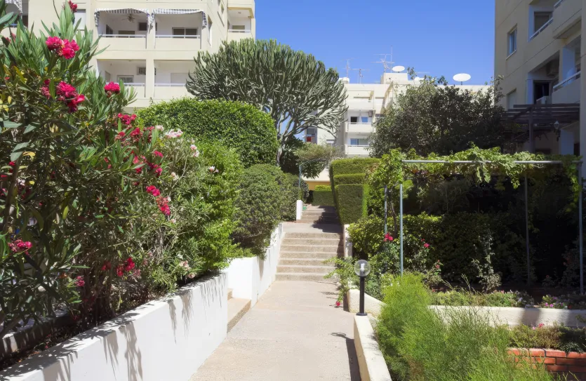 6 bedroom penthouse - 16853, photo 16