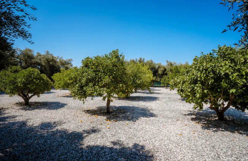 4 bedroom villa - 16857, photo 24