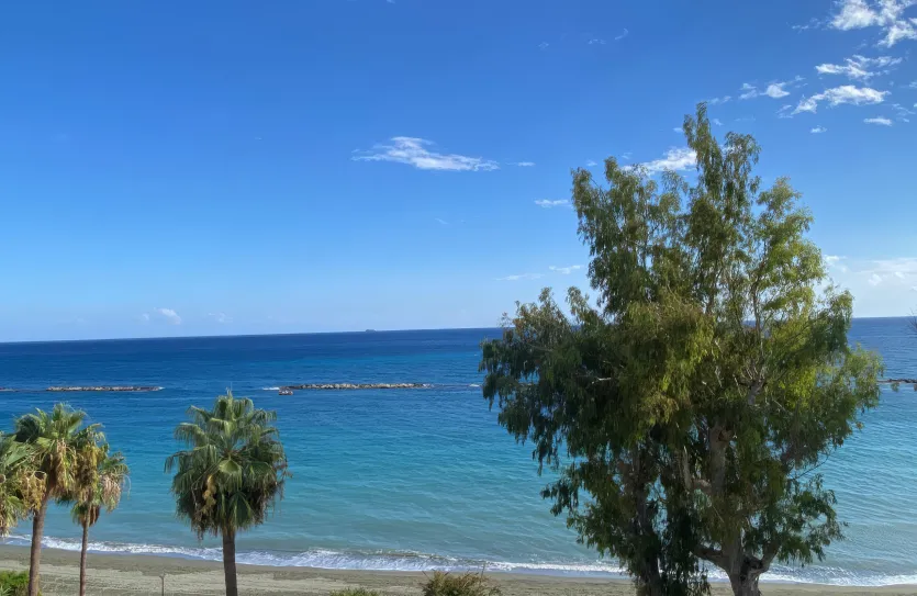 2 bedroom apartment - 16934, photo 13