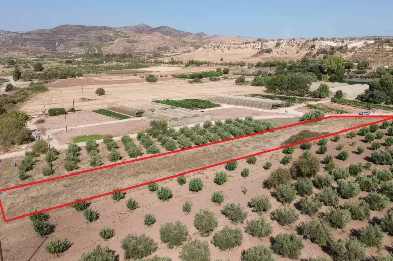 Plot in Agia Varvara, Paphos
