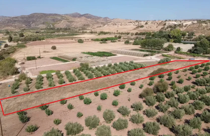 Plot for sale - 16936