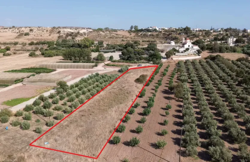 Plot - 16936, photo 2