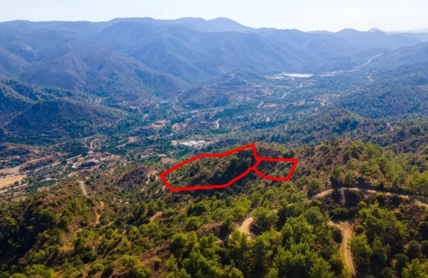 Land - 17081, photo 2