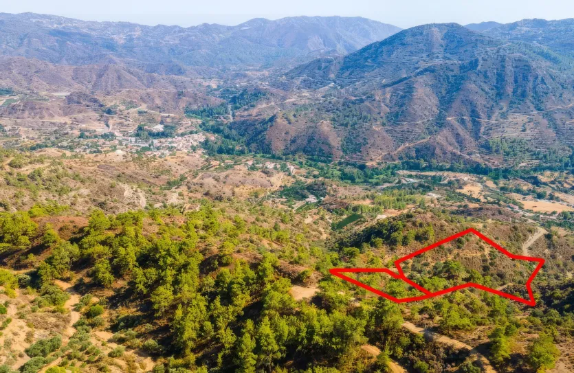 Land - 17081, photo 3