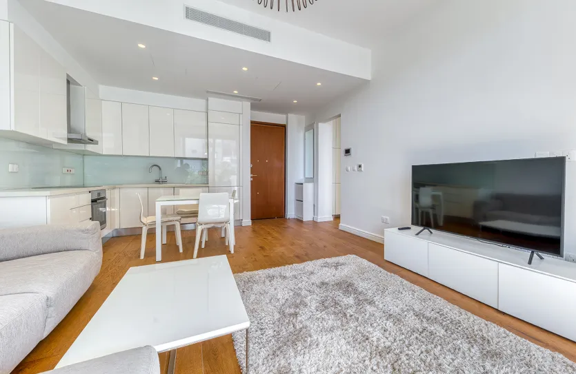 1 bedroom apartment for rent - 17732