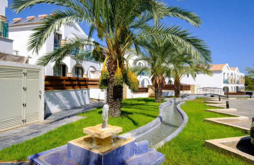 0 bedroom apartment - 17202, photo 13