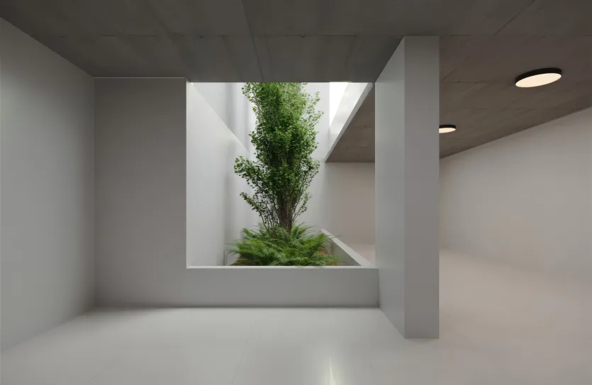 1 bedroom apartment - 17762, photo 5