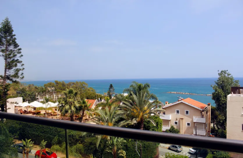 1 bedroom apartment for rent - 17805