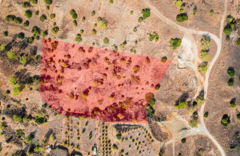 Сельхоз земля - 17913, photo 5