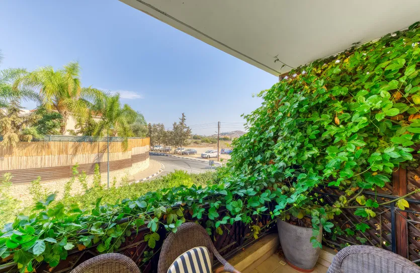 2 bedroom apartment - 17933, photo 12