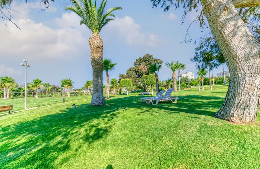 3 bedroom apartment - 17993, photo 24