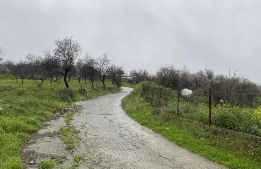 Residential plot - 18152, photo 3