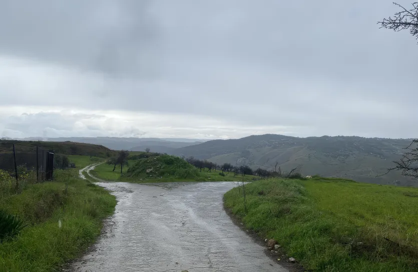 Residential plot - 18152, photo 6