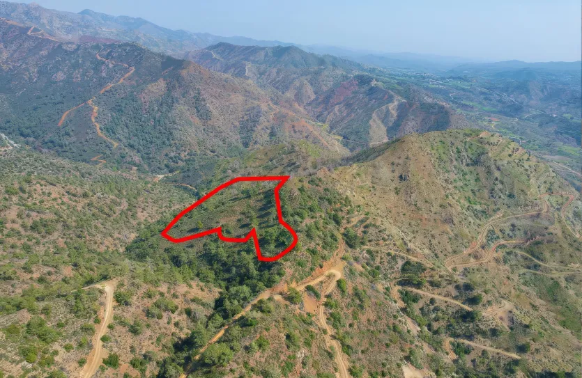 Сельхоз земля - 18187, photo 2