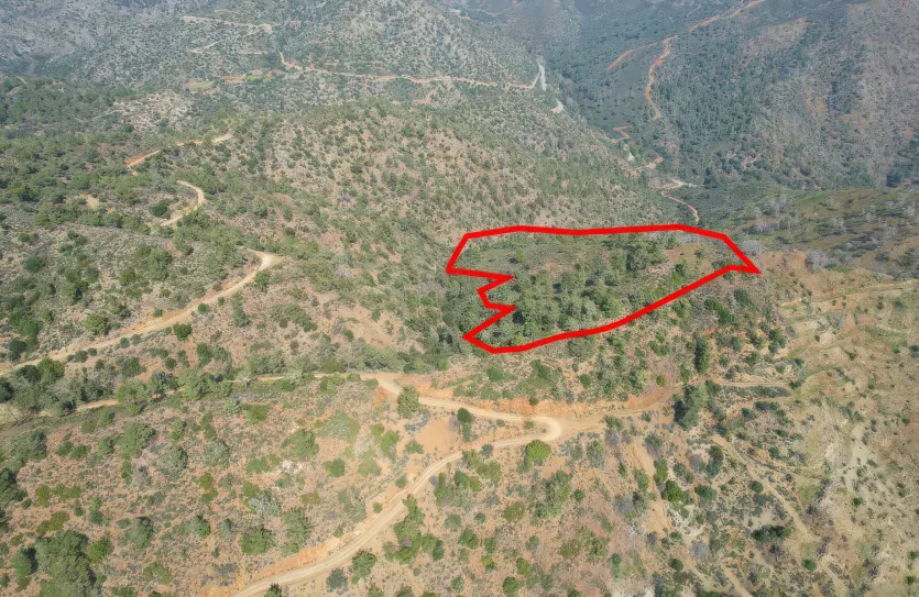 Сельхоз земля - 18187, photo 3