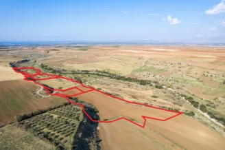 Agricultural land in Kato Koutrafas, Nicosia - 18183