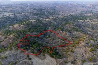 Agricultural land in Politiko, Nicosia - 18188