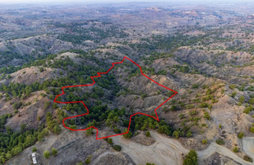 Agricultural land - 18188, photo 2