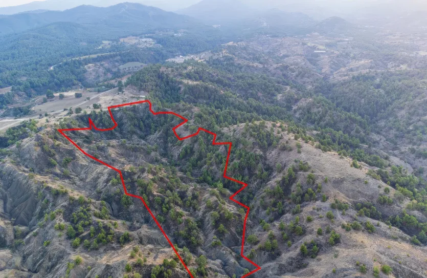 Agricultural land - 18188, photo 3