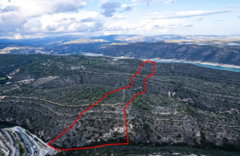 Сельхоз земля - 18190, photo 2