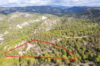 Сельхоз земля в Аногире, Лимассол