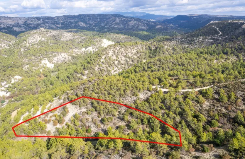 Сельхоз земля продажа - 18185