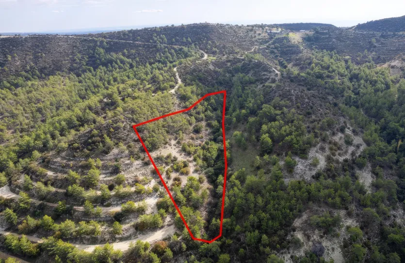 Сельхоз земля - 18185, photo 5