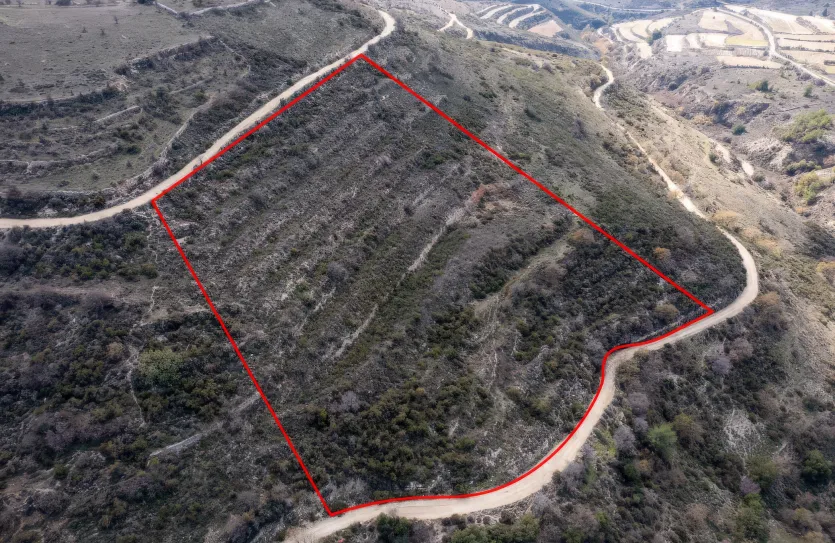 Сельхоз земля - 18182, photo 2