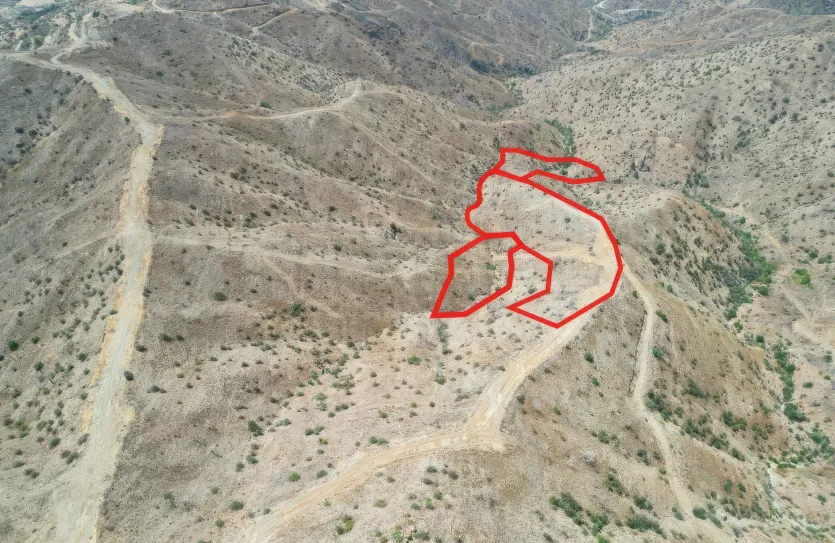 Сельхоз земля - 18198, photo 2