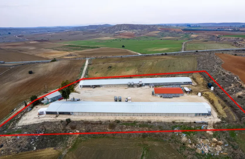 Agricultural land - 18197, photo 2