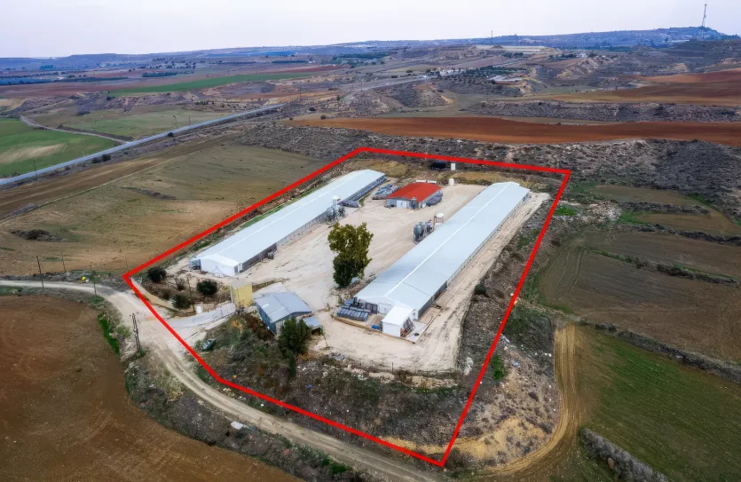 Agricultural land - 18197, photo 3