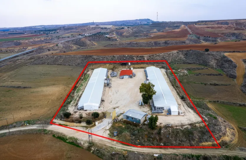 Agricultural land - 18197, photo 4