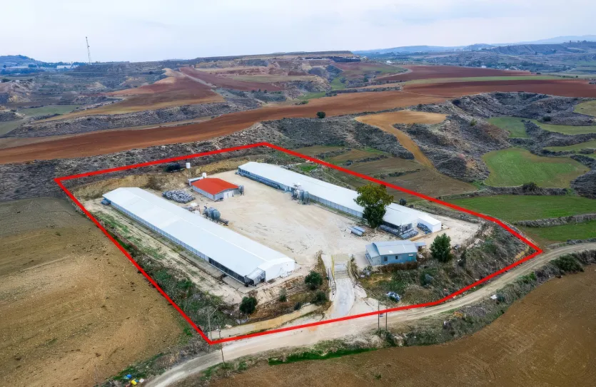 Agricultural land - 18197, photo 5