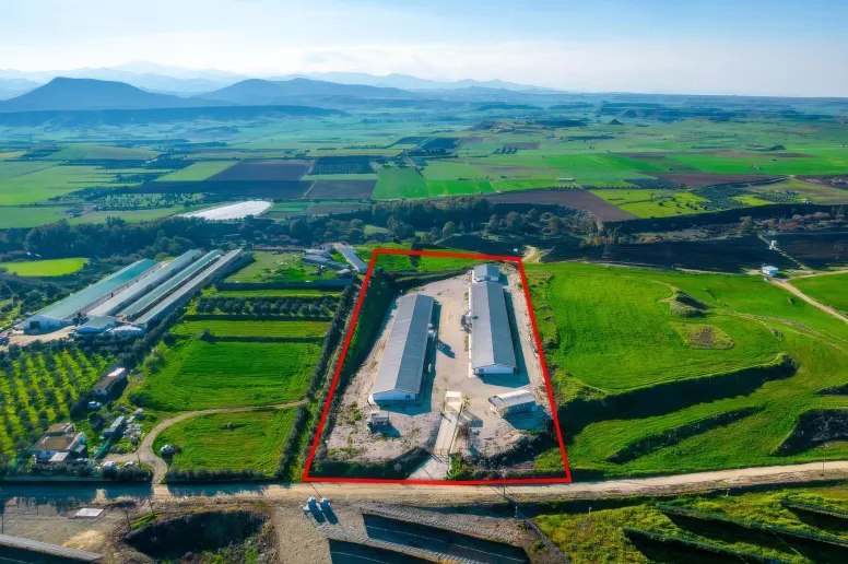 Agricultural land in Nicosia, Agios Ioannis Malountas