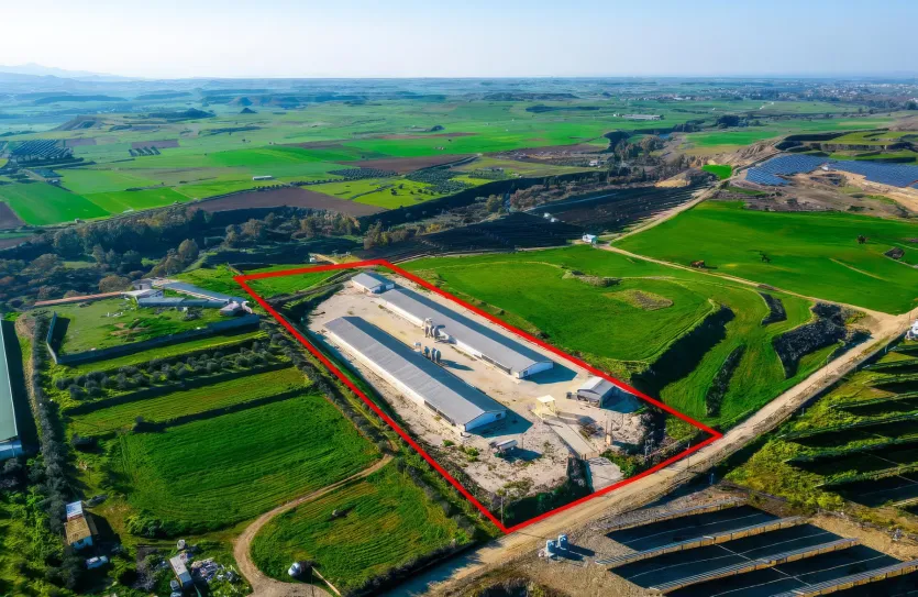 Agricultural land - 18196, photo 2