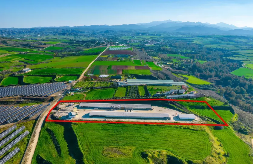 Agricultural land - 18196, photo 3