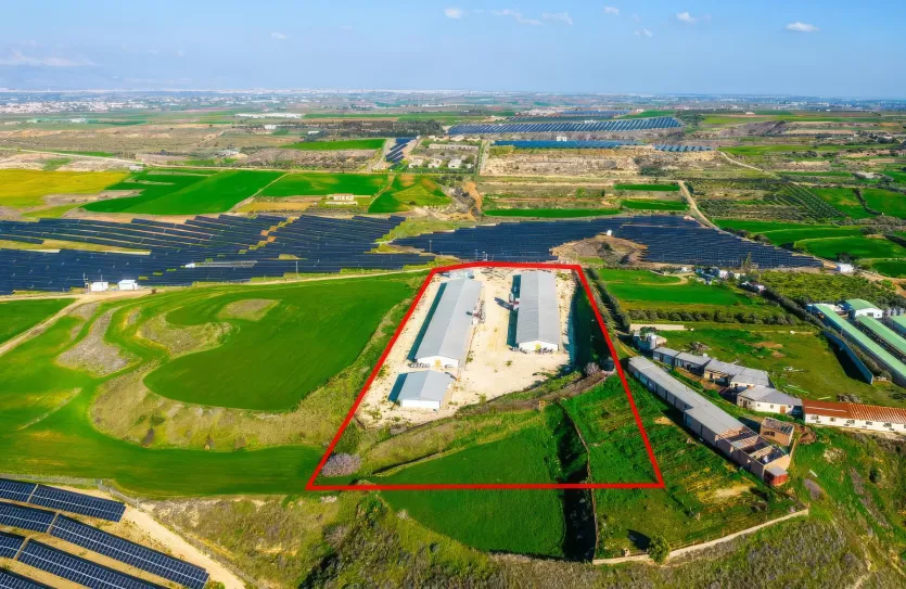 Agricultural land - 18196, photo 4