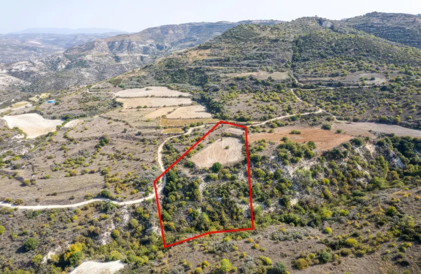 Сельхоз земля - 18195, photo 2