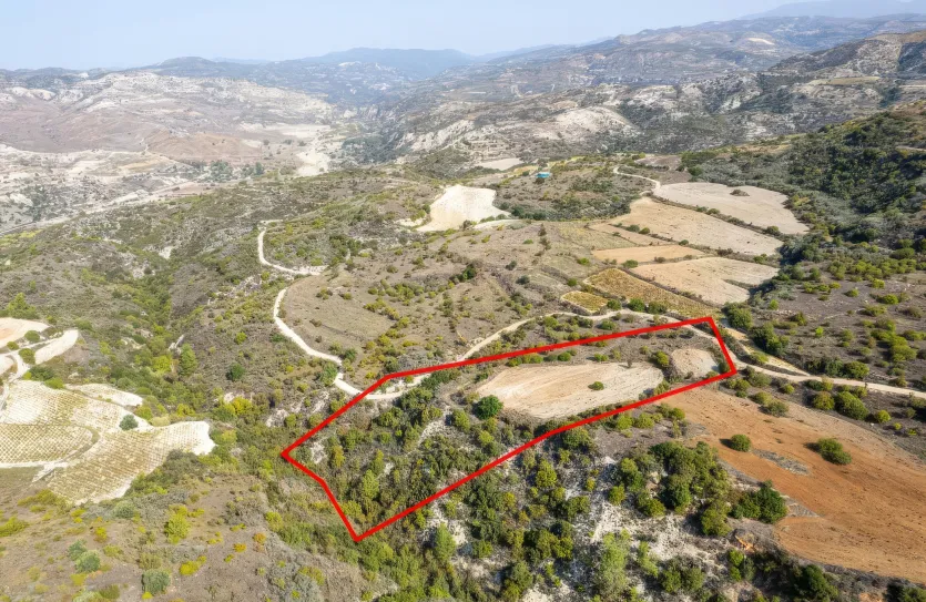 Сельхоз земля - 18195, photo 3