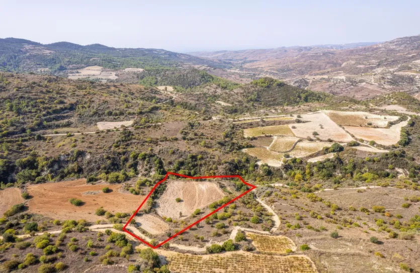 Сельхоз земля - 18195, photo 5