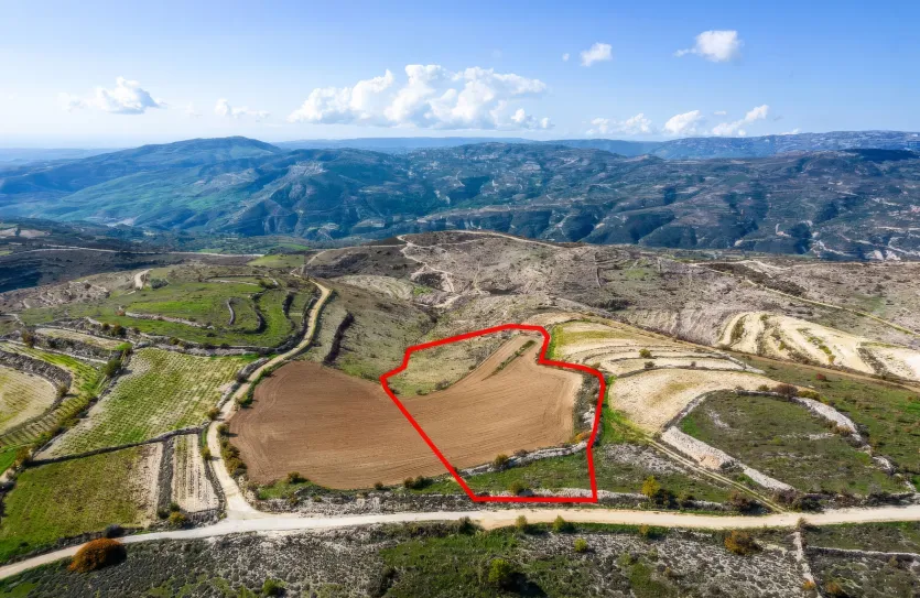 Сельхоз земля продажа - 18204