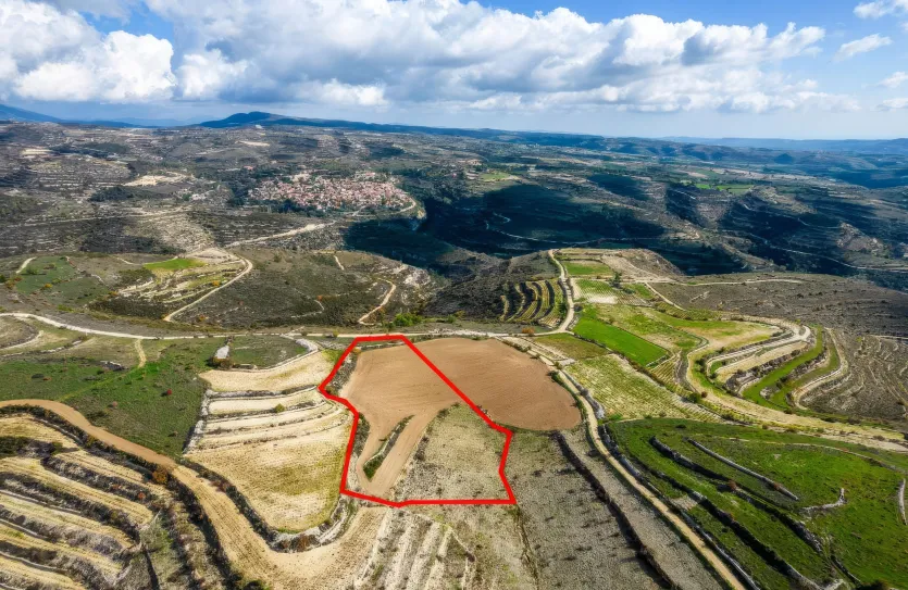 Сельхоз земля - 18204, photo 4