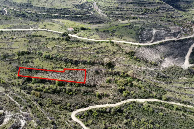 Сельхоз земля в Потамиу, Лимассол