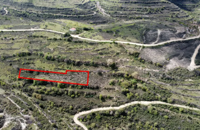 Сельхоз земля продажа - 18208