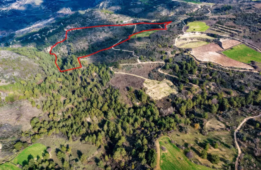 Сельхоз земля - 18202, photo 2