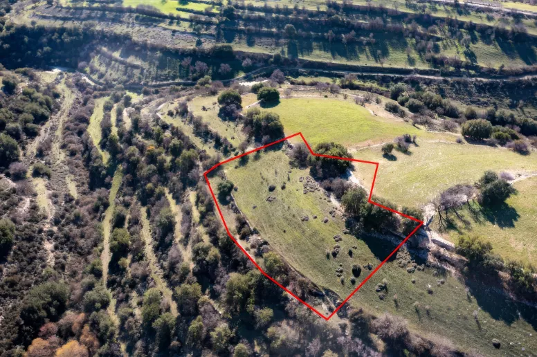 Сельхоз земля в Доре, Лимассол